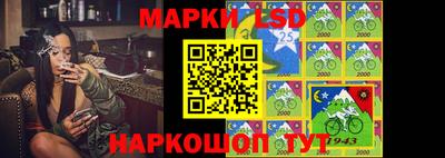 стаф Кулебаки