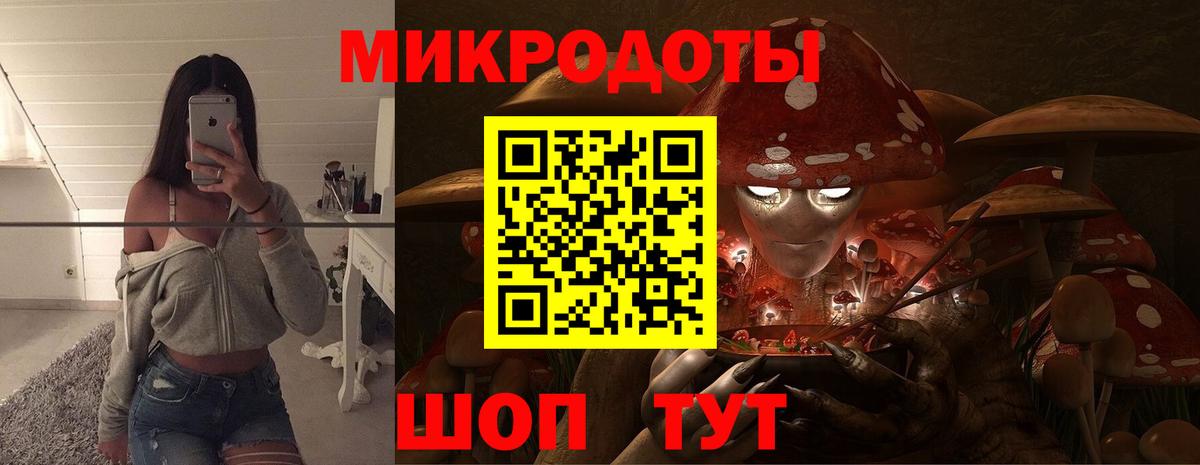 Ефремов  как найти закладки  Вход с VPN  Галлюциногенные грибы Psilocybine cubensis 